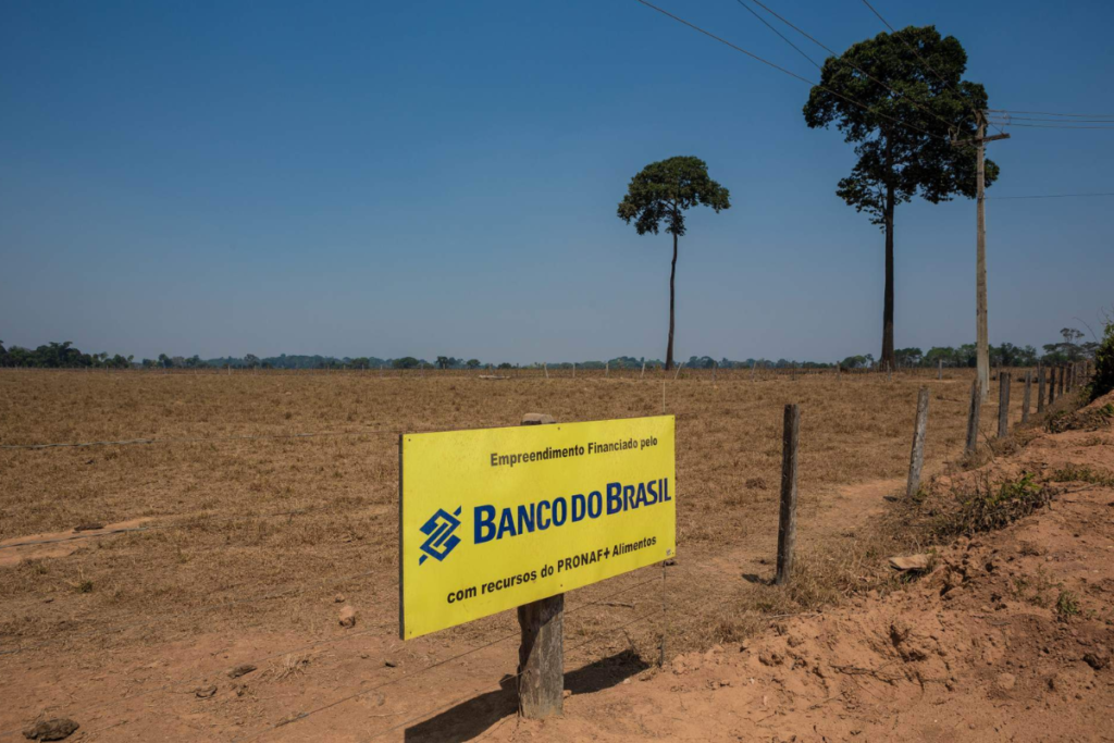 Bancos brasileiros financiam agronegócio que ameaça biodiversidade